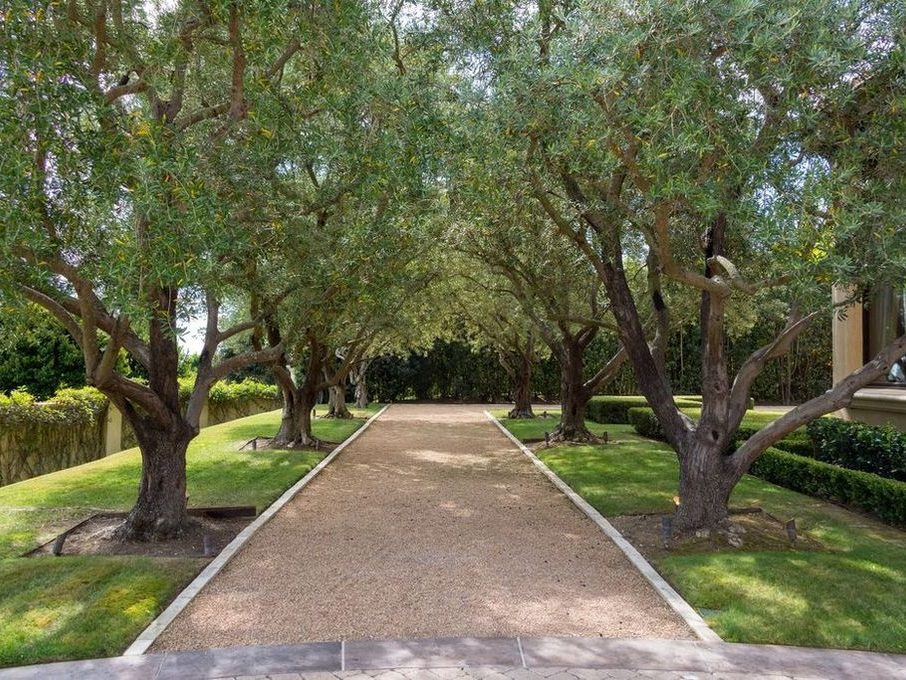 Út a kerti fák között (Fotó: dirt.com)