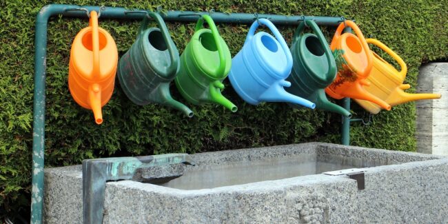 Locsolás (Fotó: Pixabay)