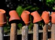 Kertészkedés - cserepek a várakoznak a kerítésen (Fotó: Pixabay)