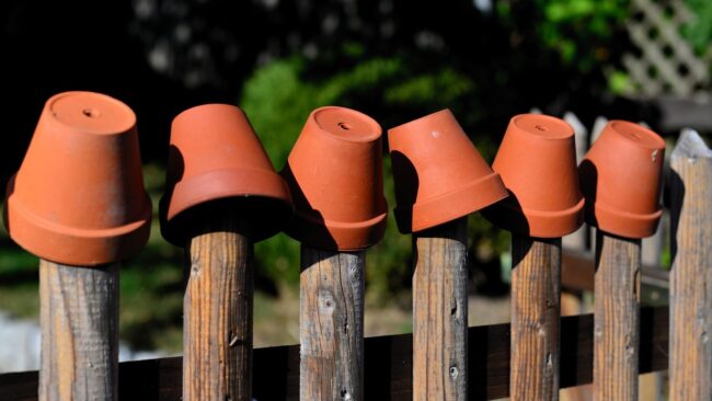 Kertészkedés - cserepek a várakoznak a kerítésen (Fotó: Pixabay)