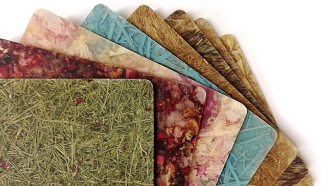 Mintalap-szett (Fotó: Viaplant)