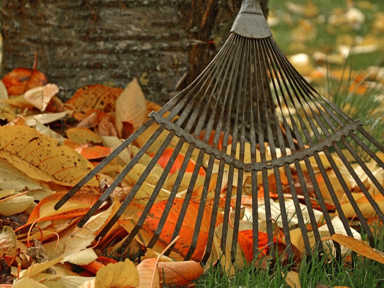 Avar gyűjtés - téliesítés (Fotó: Freepik)